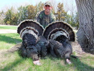 Nebraska Merriam Turkey image 52