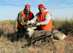 Nebraska Mule Deer 31